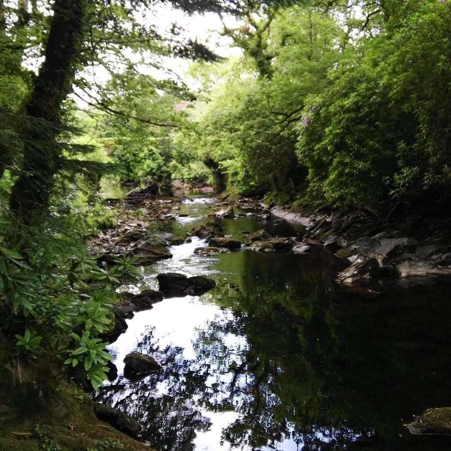 An Sibin B&B Kenmare Luaran gambar